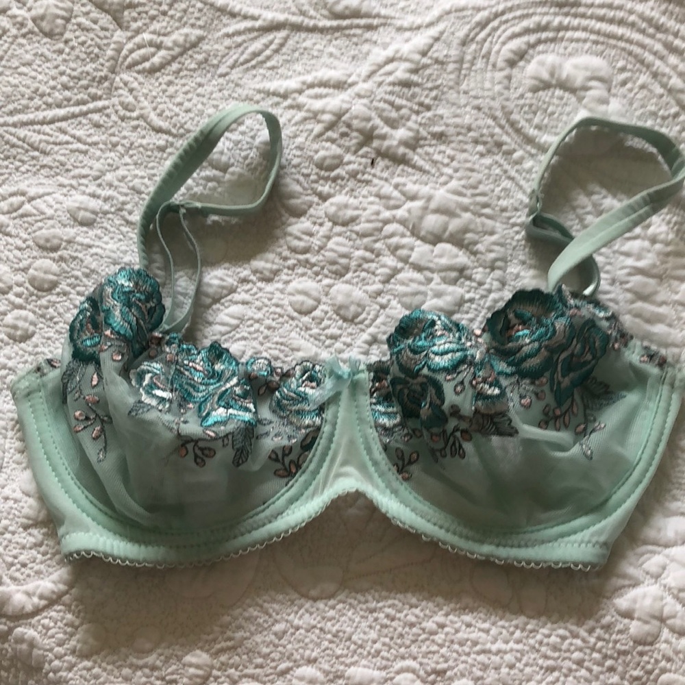 Blush English rose bra 32DD